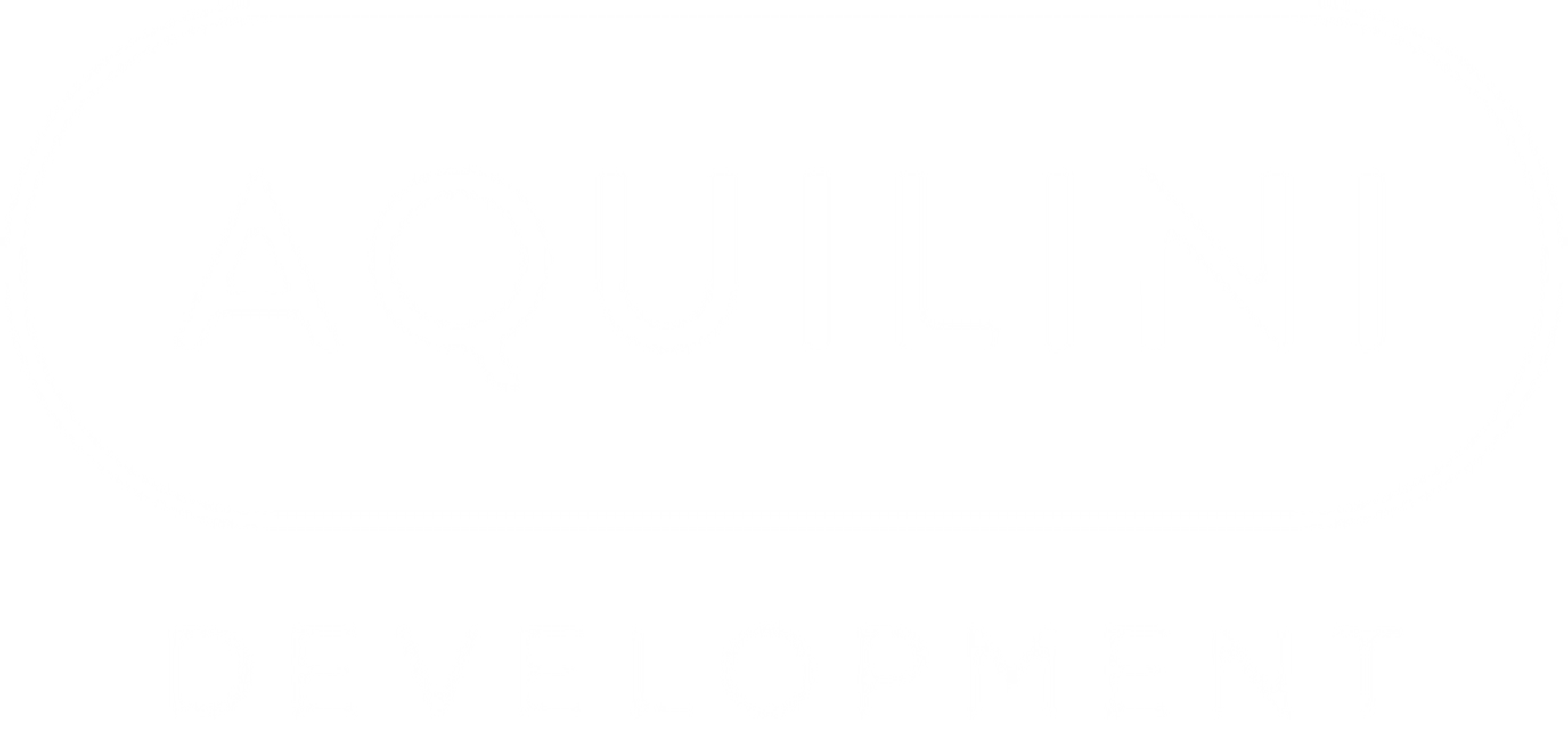 Aquilini